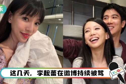 出手了！李靓蕾被35万留言骂爆 “你的戏有点多了！”