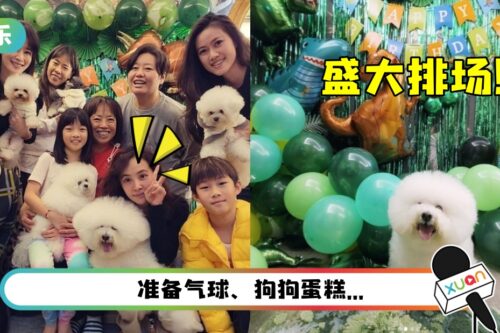 爱犬15岁生日！蔡依林举办豪华派对 网羡慕：比人幸福