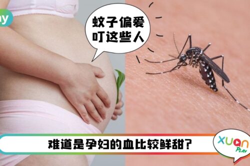 Tips I 这几种人特别招蚊子叮，经常化妆、脚臭和孕妇也上榜！