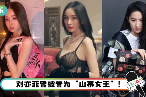 宋智雅穿假货“白富美”人设崩塌！杨幂、刘亦菲和她竟然也被抓包过？
