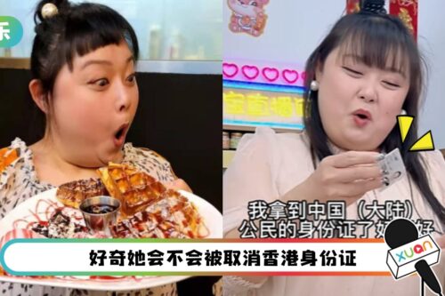 身份证、居住证傻傻分不清？细细粒得意晒“马来西亚身份证”被网民吐槽