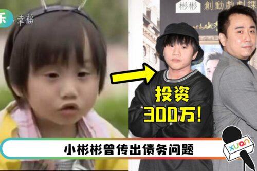 父子联手创业!小彬彬升格当CEO 18岁儿子投资300万!