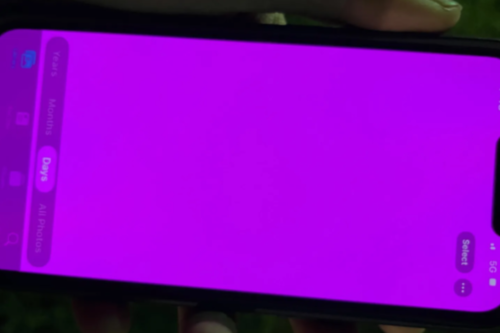 iPhone 13 系列传灾情！萤幕突然变成整块粉红色，苹果表示是软件问题