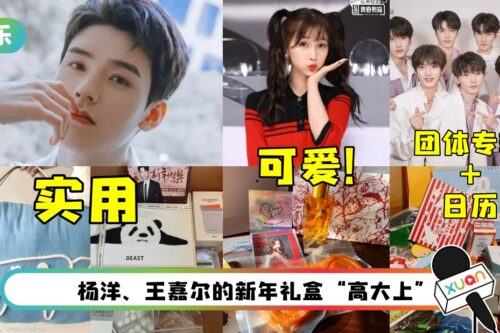 开箱马来西亚艺人送的新年礼盒！虞书欣“蝴蝶结造型火锅底料”太可爱了~