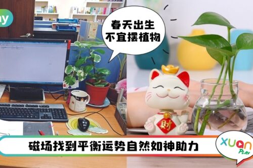 运势 I 提升职场人缘摆什么？根据四季出生布局十拿九稳