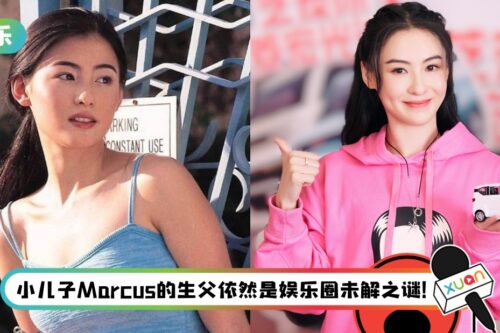 张柏芝“凸肚照”疯传！第四胎传闻可能是真的！