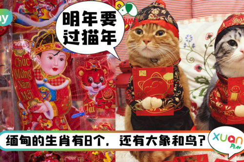 科普|越南12生肖里没有兔,竟是由可爱的它代替?