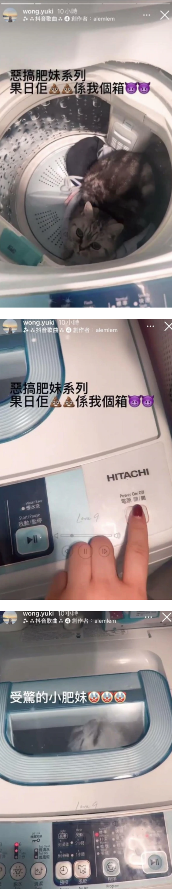 港姐冠军姐姐涉虐猫 被裁定罪成！曾指“罪魁祸首”是朋友 娱乐资讯 图1张