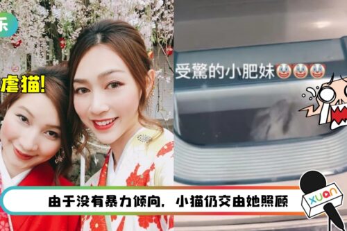 港姐冠军姐姐涉虐猫 被裁定罪成！曾指“罪魁祸首”是朋友
