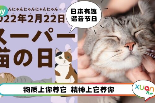 科普 I 2月22日是日本“猫之日”，原因是222的日文发音像猫咪叫声？