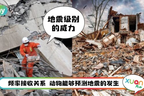 知识 I 1-10级的地震威力分别来看看!马来西亚的余震属于3级?