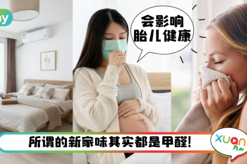 Tips｜新家装修后满是甲醛怎么办？分享5个“除甲醛”大法！