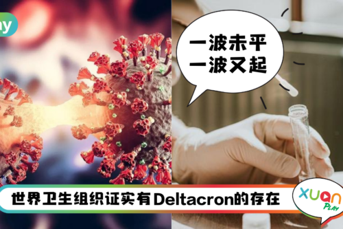 News I 又有新变异毒株出现！关于Deltacron你要知道的3件事！