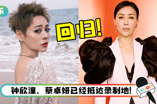 网传宁静、那英回归《浪姐3》！全新赛制曝光