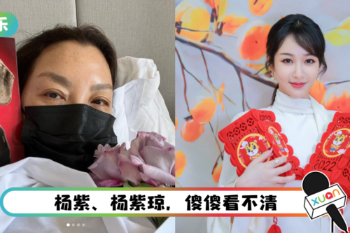 杨紫琼确诊新冠肺炎登热搜！ 马来西亚网友认错人：以为是杨紫