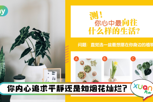 心理测验｜平和VS灿烂的生活，你内心更向往哪一个？
