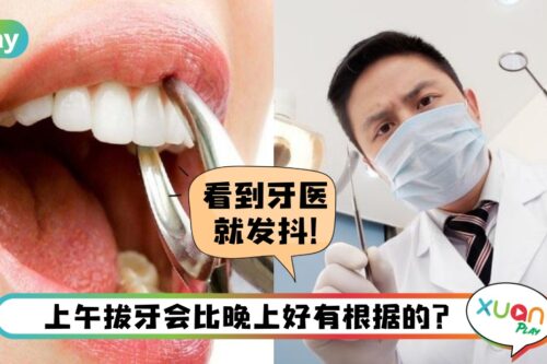 Tips I 早上拔牙最适合?拔牙后要吃抗生素吗?常见拔牙5个迷思