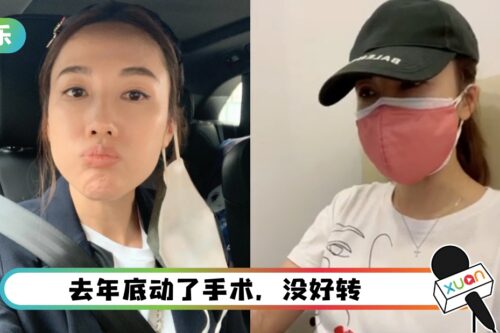 李施嬅停工半年！和Will Smith老婆一样 免疫系统出事