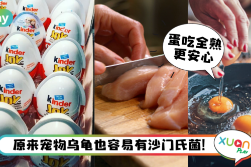 健康｜新加坡回收Kinder巧克力蛋，误食沙门氏菌食物会引起什么健康问题？