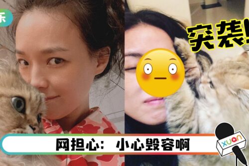 惊险画面！舒淇遭爱猫伸爪袭击…揪着整个鼻梁