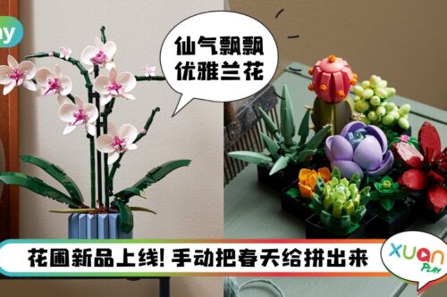 News I LEGO花束新系列，兰花和多肉盆栽简直绝了！