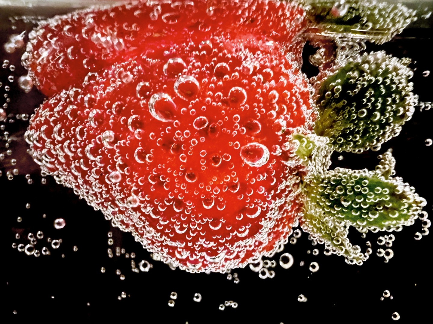 全是用 iPhone 13 Pro 系列拍的！苹果 Shot on iPhone Challenge 微距摄影挑战赛获奖作品出炉 数码科技 图7张