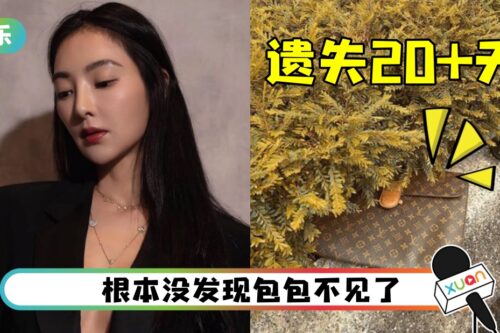 名牌包意外掉路边树丛“20天没人拿走”！曹格妻惊叹：我很幸运