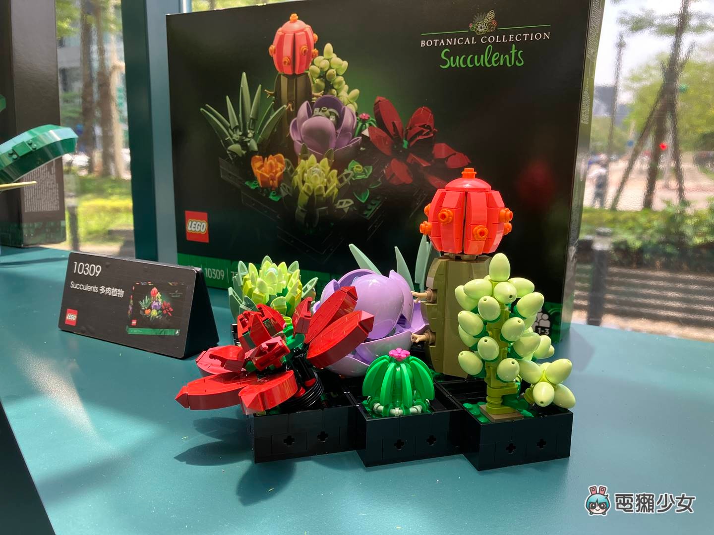 出门|超美的!乐高花艺系列新品快闪信义区,与 CNFlower 联手打造魔幻温室 内容图5 潮品文-大潮社旗下实时最新热点娱乐时尚数码等新闻资讯网站! 出门|超美的!乐高花艺系列新品快闪信义区,与 CNFlower 联手打造魔幻温室