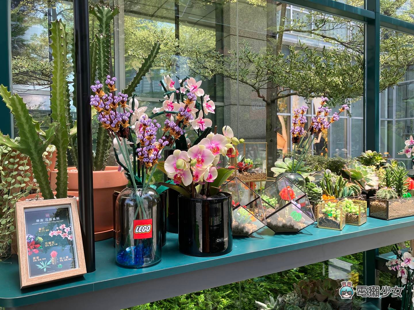 出门|超美的!乐高花艺系列新品快闪信义区,与 CNFlower 联手打造魔幻温室 内容图6 潮品文-大潮社旗下实时最新热点娱乐时尚数码等新闻资讯网站! 出门|超美的!乐高花艺系列新品快闪信义区,与 CNFlower 联手打造魔幻温室