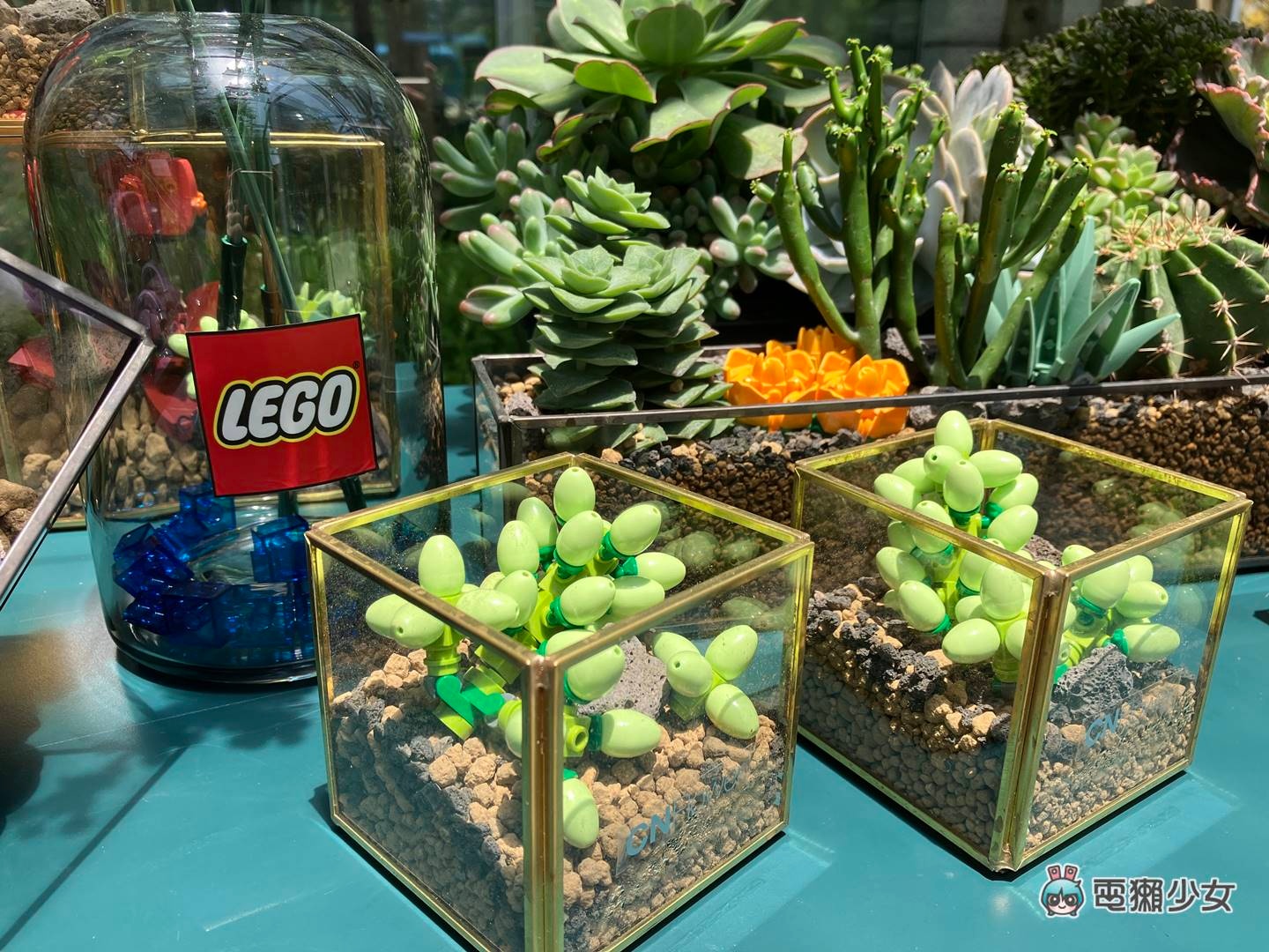 出门|超美的!乐高花艺系列新品快闪信义区,与 CNFlower 联手打造魔幻温室 内容图8 潮品文-大潮社旗下实时最新热点娱乐时尚数码等新闻资讯网站! 出门|超美的!乐高花艺系列新品快闪信义区,与 CNFlower 联手打造魔幻温室