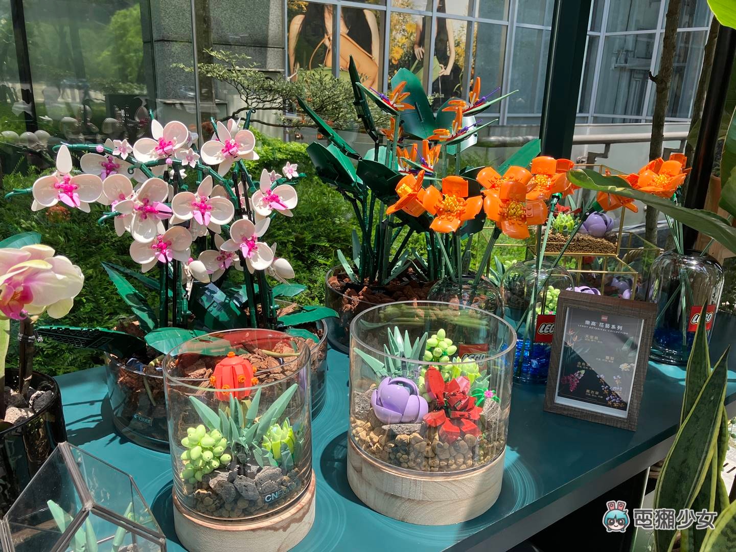出门|超美的!乐高花艺系列新品快闪信义区,与 CNFlower 联手打造魔幻温室 内容图10 潮品文-大潮社旗下实时最新热点娱乐时尚数码等新闻资讯网站! 出门|超美的!乐高花艺系列新品快闪信义区,与 CNFlower 联手打造魔幻温室