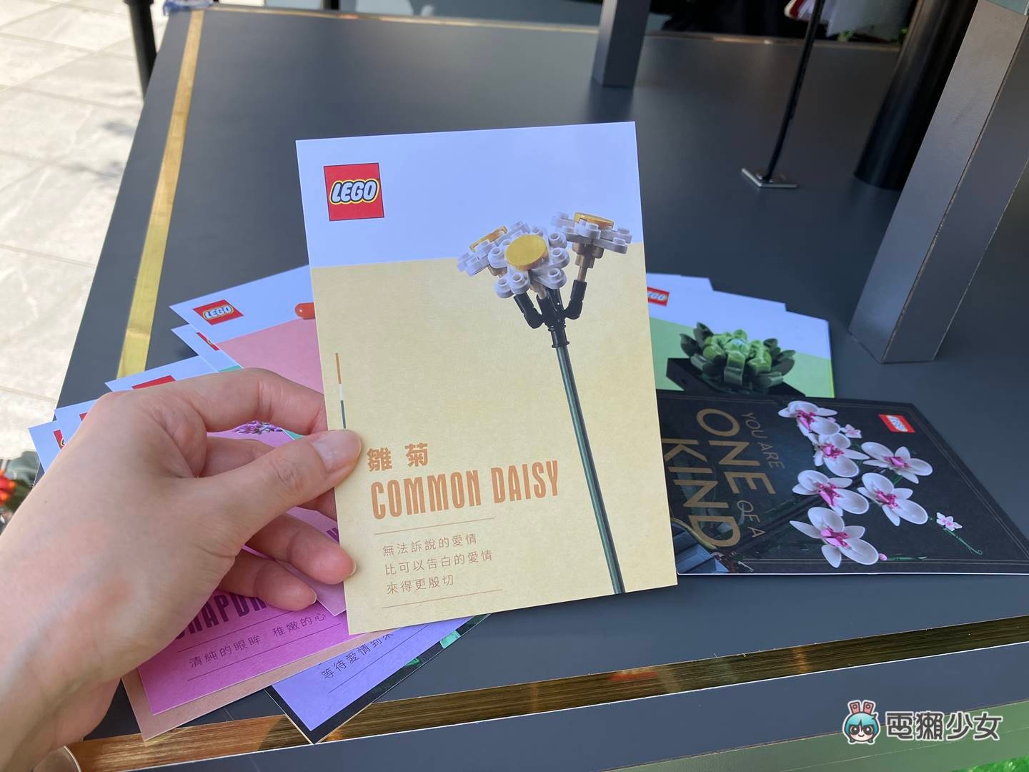 出门|超美的!乐高花艺系列新品快闪信义区,与 CNFlower 联手打造魔幻温室 内容图12 潮品文-大潮社旗下实时最新热点娱乐时尚数码等新闻资讯网站! 出门|超美的!乐高花艺系列新品快闪信义区,与 CNFlower 联手打造魔幻温室