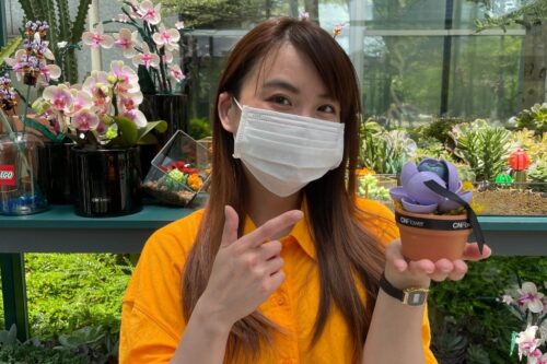 出门｜超美的！乐高花艺系列新品快闪信义区，与 CNFlower 联手打造魔幻温室