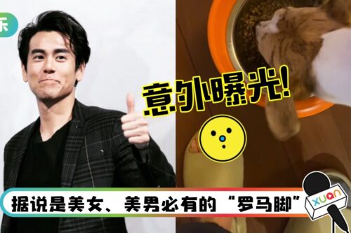 彭于晏晒小狗影片！意外拍入“不完美”脚趾头
