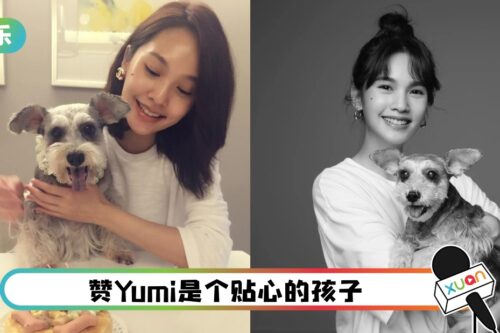 陪伴17年爱犬Yumi离世…杨丞琳自责：我做得不够好！