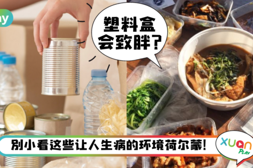 健康｜会患上乳癌、变胖，其实和这4种常见“环境荷尔蒙”有关！