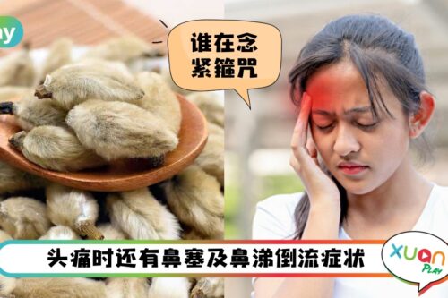 食谱 I 天气变就头痛？这种风寒头痛来杯辛夷去风茶缓解