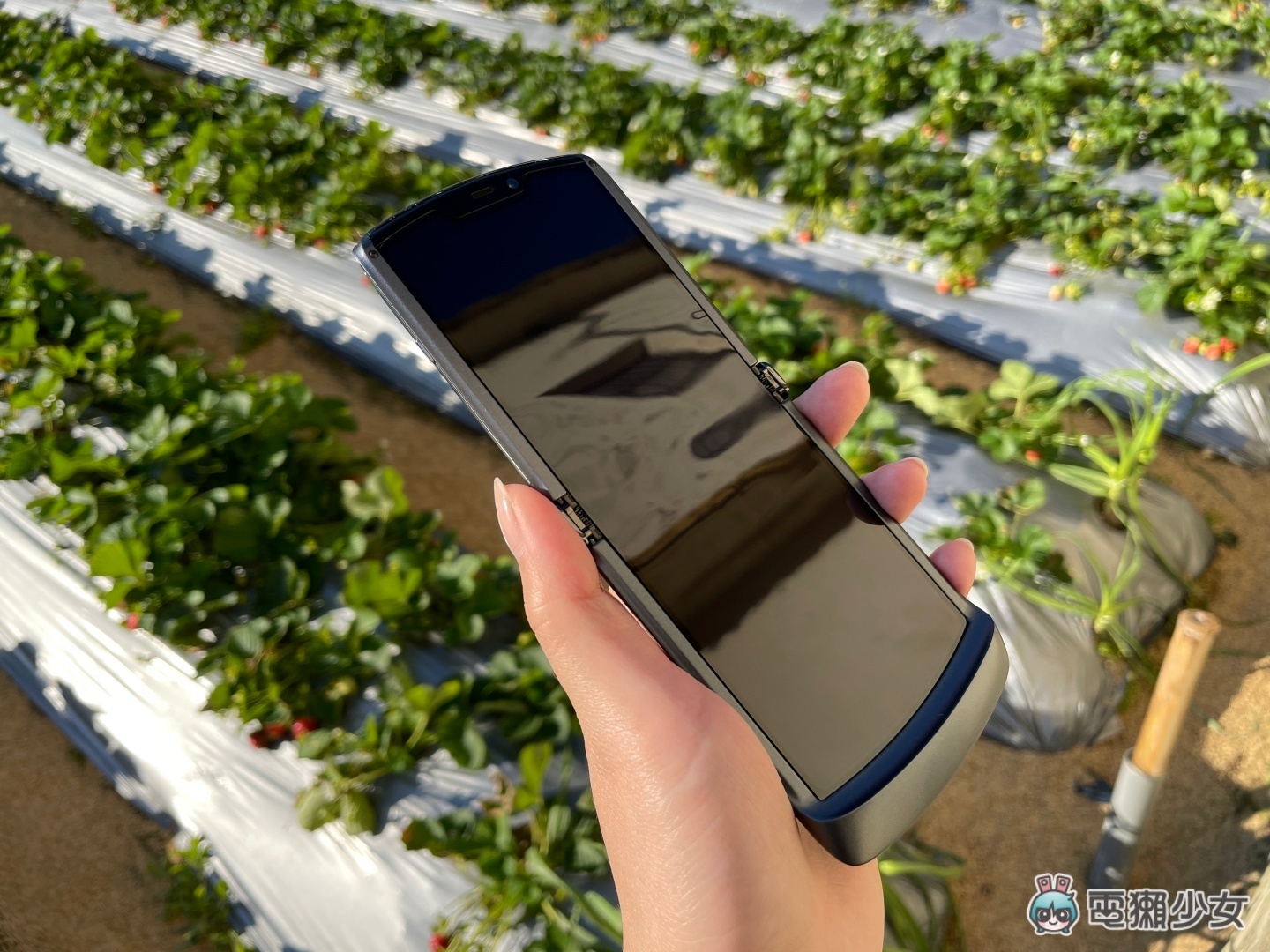 第三代 Motorola&nbsp;razr 折叠机外观曝光！标志性的下巴不见了，有望升级为双主镜头