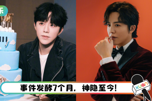 嫖娼风波后…李云迪下落不明！传逾200万令吉资产被扣押