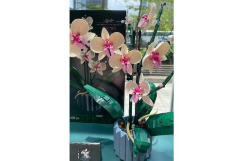这个好可爱！乐高 x CNFlower 花艺系列新品信义限定快闪店