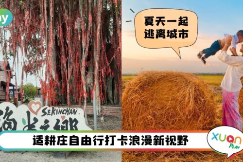 旅游 I 何止稻田而已？适耕庄5个拍照打卡攻略