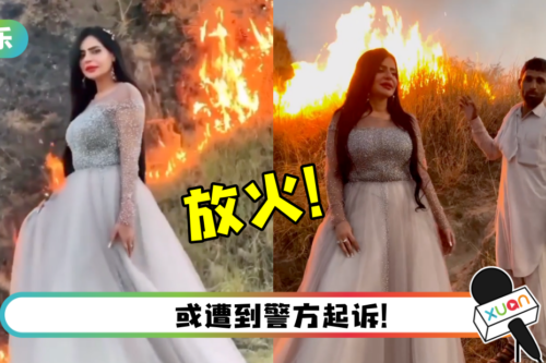丧心病狂？女网红为拍业配影片…竟放火焚烧地区保护森林！