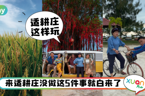 旅游｜适耕庄这样玩！跟着阿兰姐这样吃喝玩乐一遍！