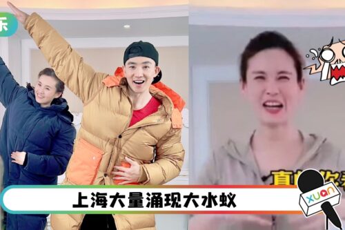 王婉霏被大水蚁钻进衣服！刘畊宏万人直播前帮她抓
