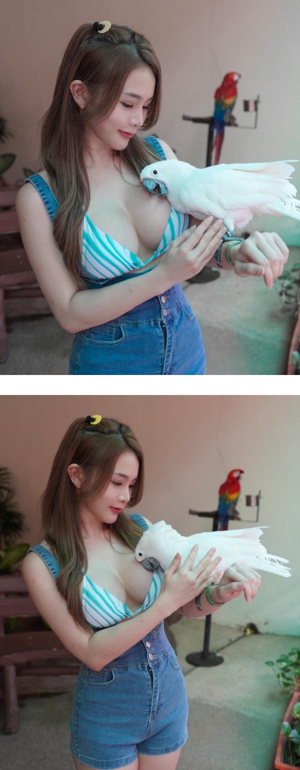 马来西亚性感网红Valent玩鸟！鹦鹉躺巨胸表情超爽！ 娱乐资讯 图1张