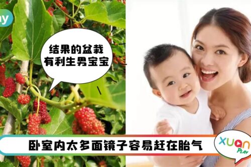 风水 I 试试这样提升居家风水布局，生儿子有望！