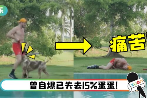 网红突遭狗袭击下体！痛不欲生倒地