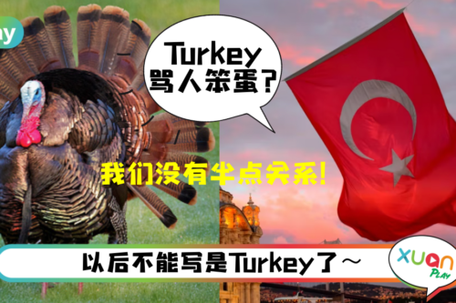 科普｜不想和火鸡同名了！土耳其成功正式改名成“这个”！