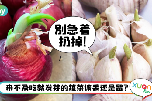 健康｜发芽的蔬菜都有毒？未必！至少这5种还能接着吃！