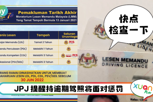 News I 逾期驾照须在7月前更新！不然被吊销驾照 还要重考！